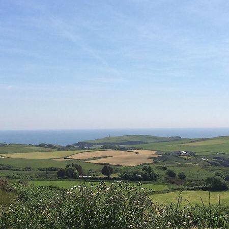 Sandycove House Bed & Breakfast Bed and Breakfast Castlehaven Exteriör bild