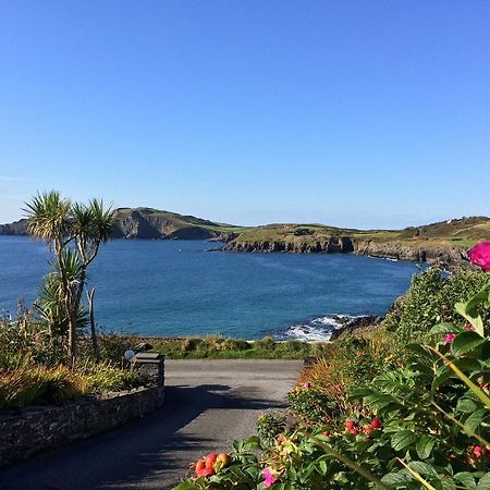 Sandycove House Bed & Breakfast Bed and Breakfast Castlehaven Rum bild