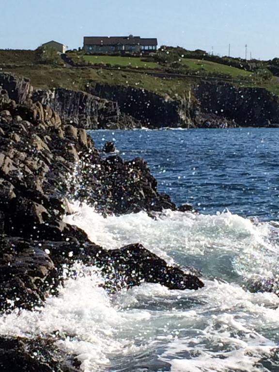 Sandycove House Bed & Breakfast Bed and Breakfast Castlehaven Exteriör bild