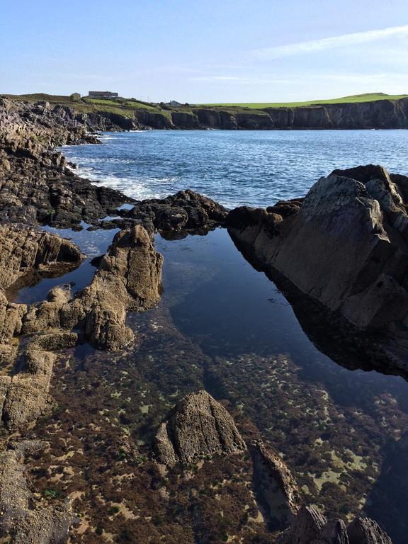 Sandycove House Bed & Breakfast Bed and Breakfast Castlehaven Exteriör bild