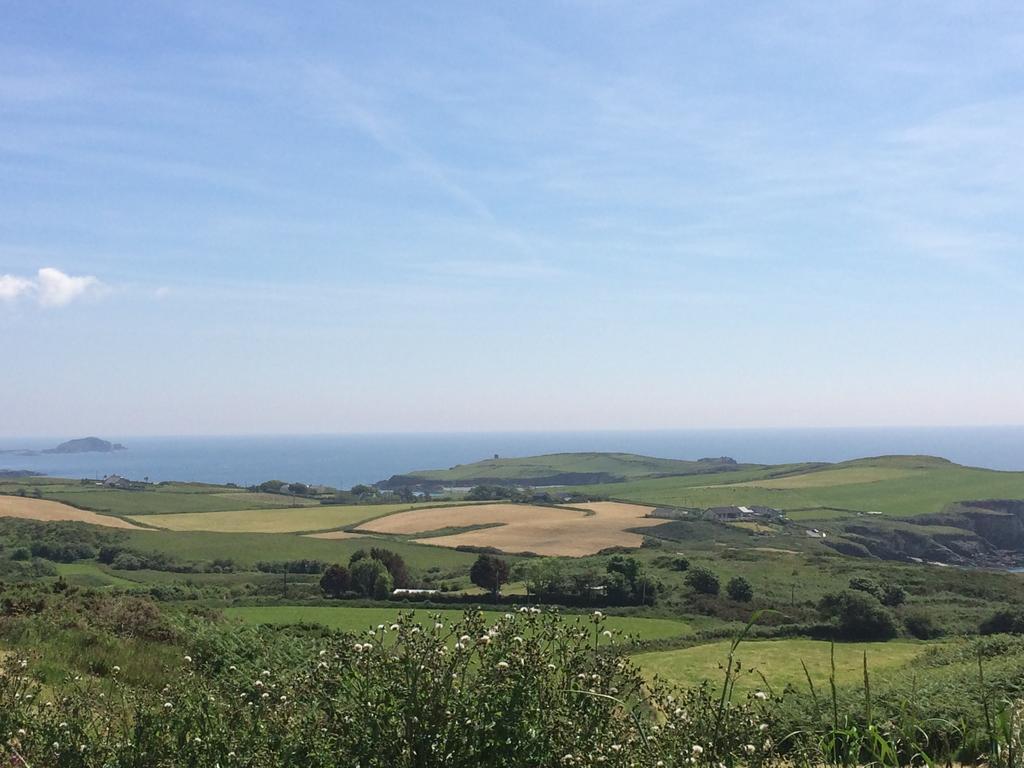 Sandycove House Bed & Breakfast Bed and Breakfast Castlehaven Exteriör bild