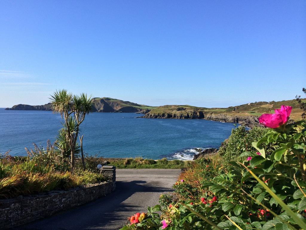Sandycove House Bed & Breakfast Bed and Breakfast Castlehaven Rum bild